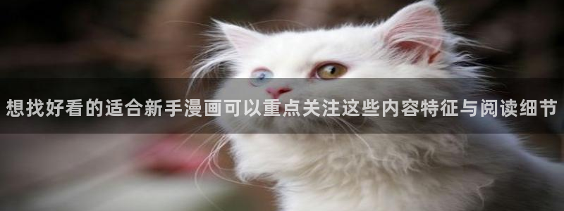樱花日语初学者