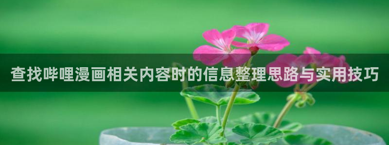 樱花日语词典